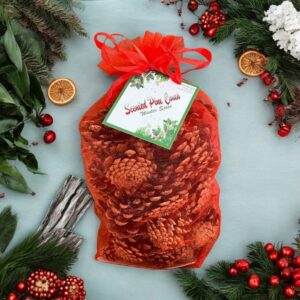 Mixed Christmas Spice Scented Pinecones Bag