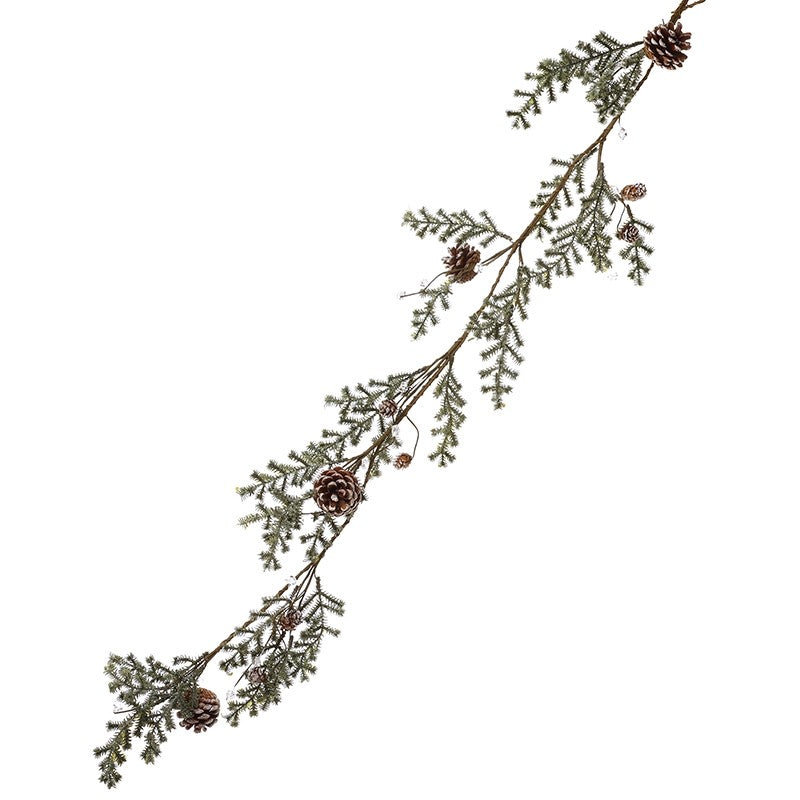 Decorative branch with pine cones on a white background