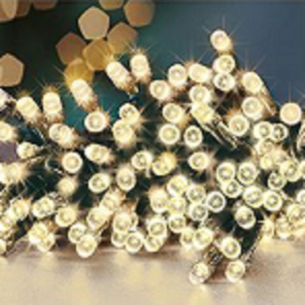 Premier TimeLights 200 Warm White LED Battery Operated Christmas String Lights