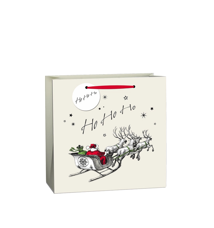 Eco-Friendly Fsc™ Sustainable Christmas Gift Bag Santa Sleigh Design