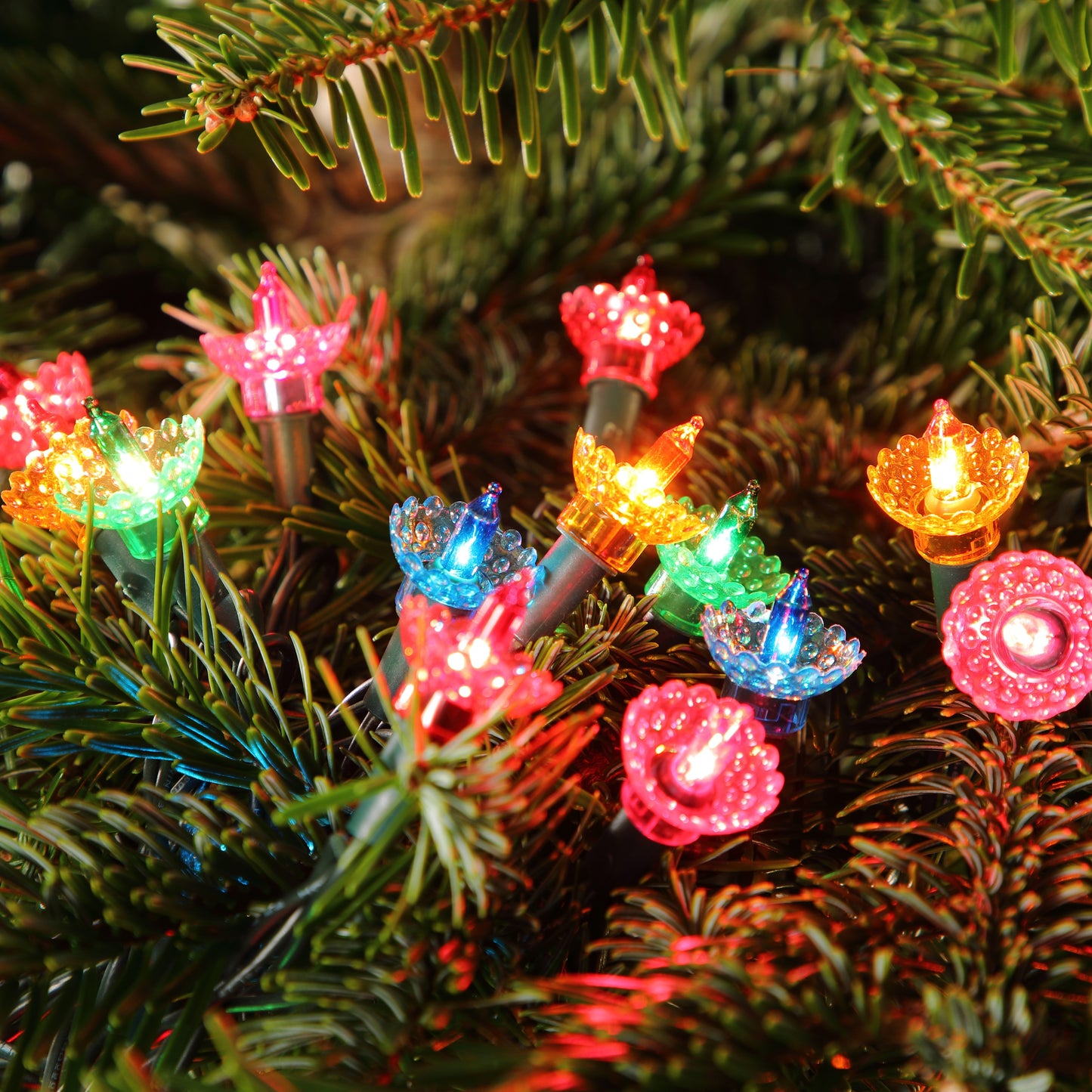 Noma 80 Pickwick LED Classic Christmas String Lights