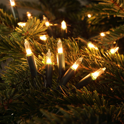 String of Christmas lights on a tree with warm glow