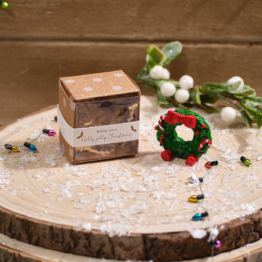 A small square gift box wrapped in clear plastic with a white paper band reading 'wishing you a Holly jolly Christmas' sits on a rustic wood slice. The box is styled with a miniature green resin Christmas wreath surrounded by white berries, and string lights against a wooden background.