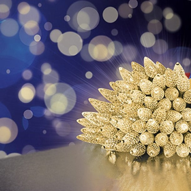 Premier 150 Warm White LED Christmas Pinecone Lights