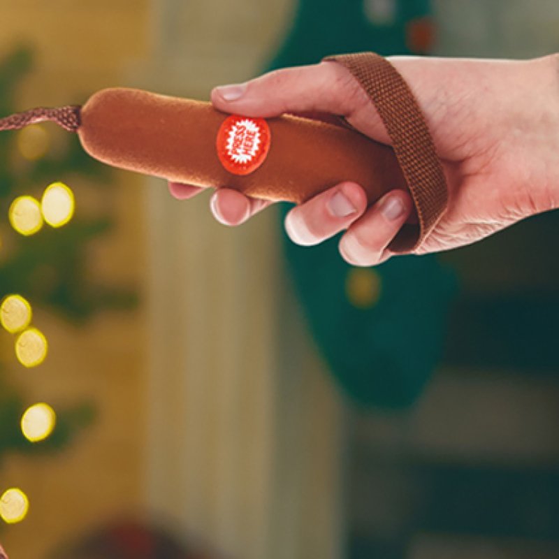 Christmas Animated Musical Walking Reindeer with Lead