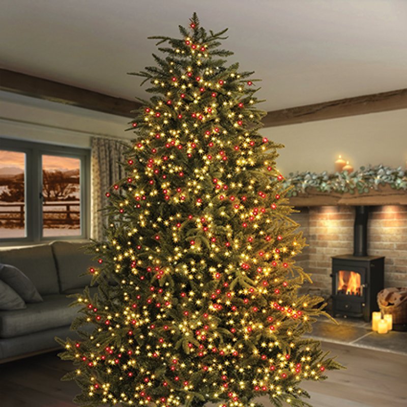 Premier TreeBrights 1000 Red and Warm White LED Christmas String Lights