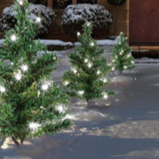 A set of six mini Christmas trees with white LED lights placed in the snow, creating a warm glow on a cold winter night.