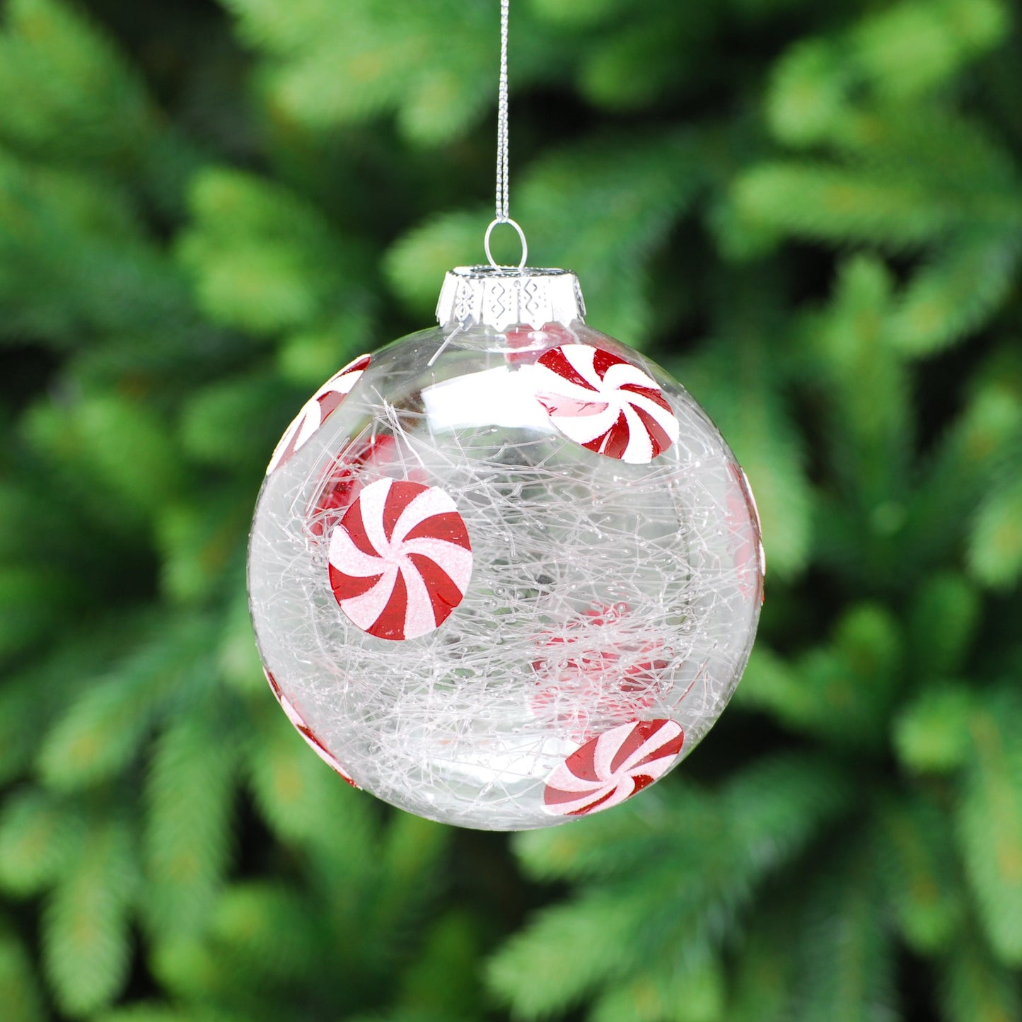 A clear crackle effect glass bauble with a candy cane design, featuring red and white stripes, displayed on a Christmas tree with green leaves in the background.