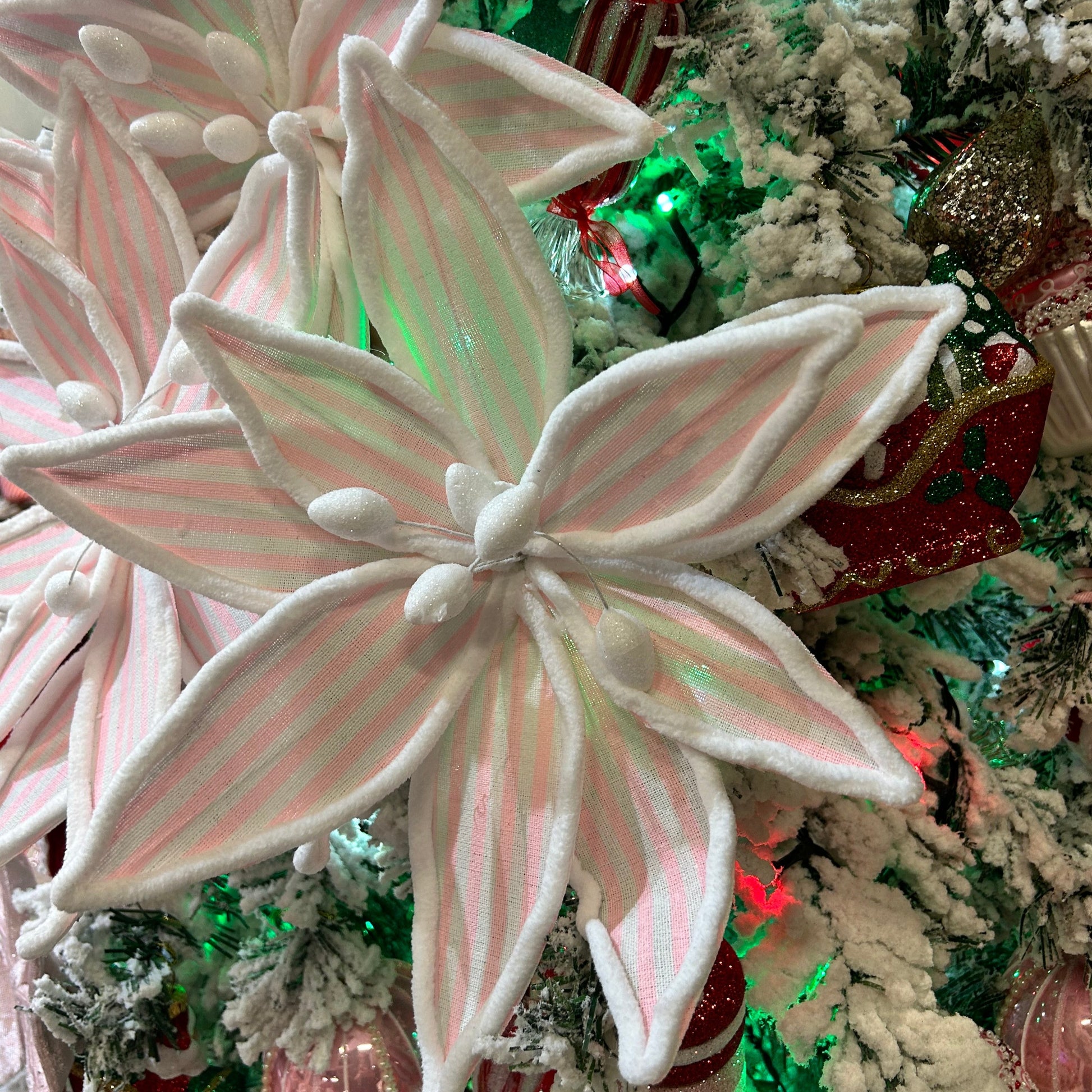 A close-up of a pink and white striped Christmas poinsettia stem, with artificial snow and holiday decorations in the background.