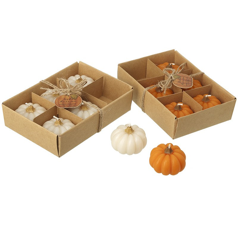 Two open kraft paper gift boxes containing small decorative pumpkins, with two loose pumpkins placed in front on a white background.