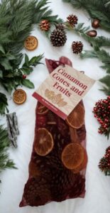 Cinnamon Cones and Fruits Christmas Pot Pourri