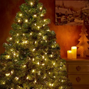 150 Warm White LED Fairy Cap Christmas Light String