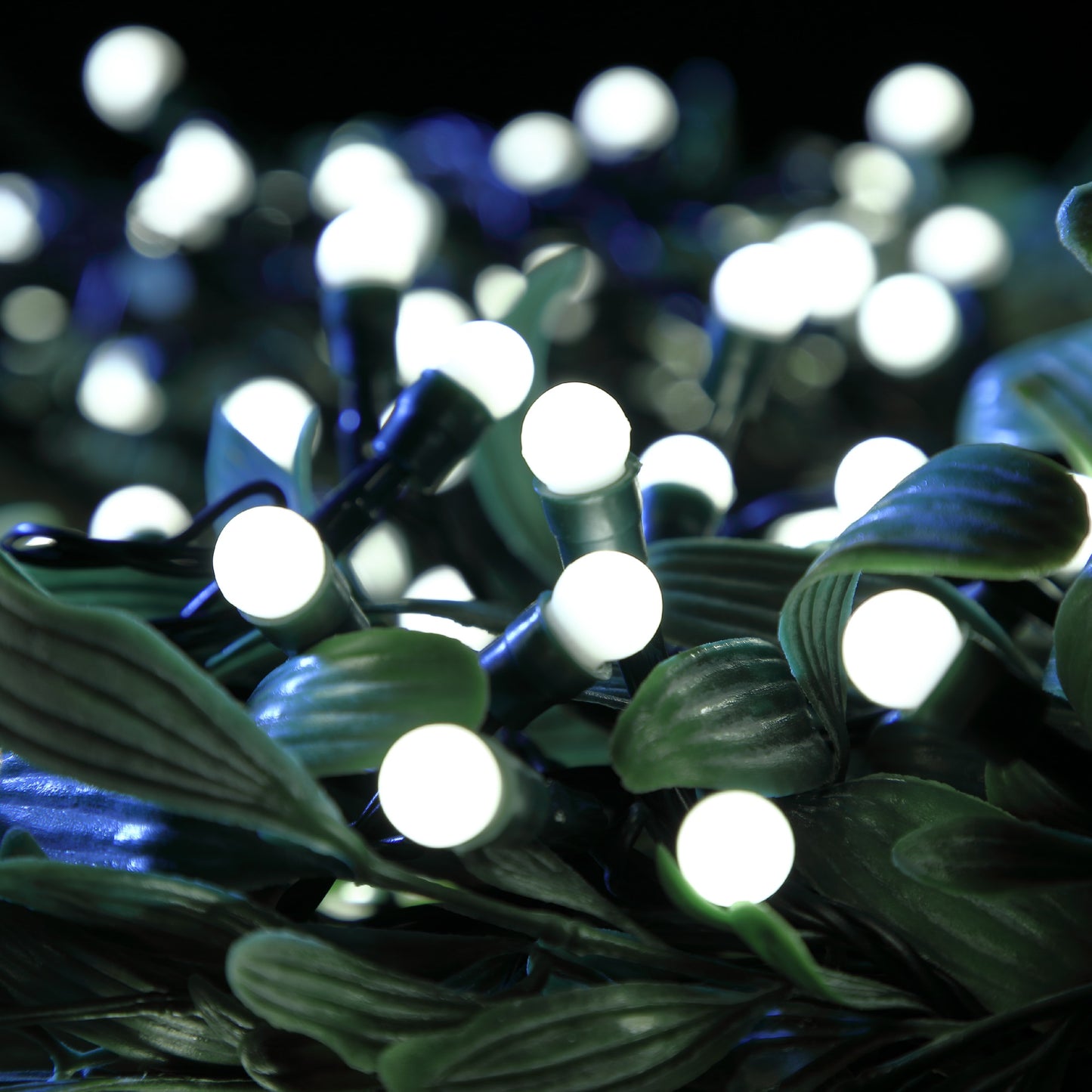Noma 100 White Berry Battery Lights
