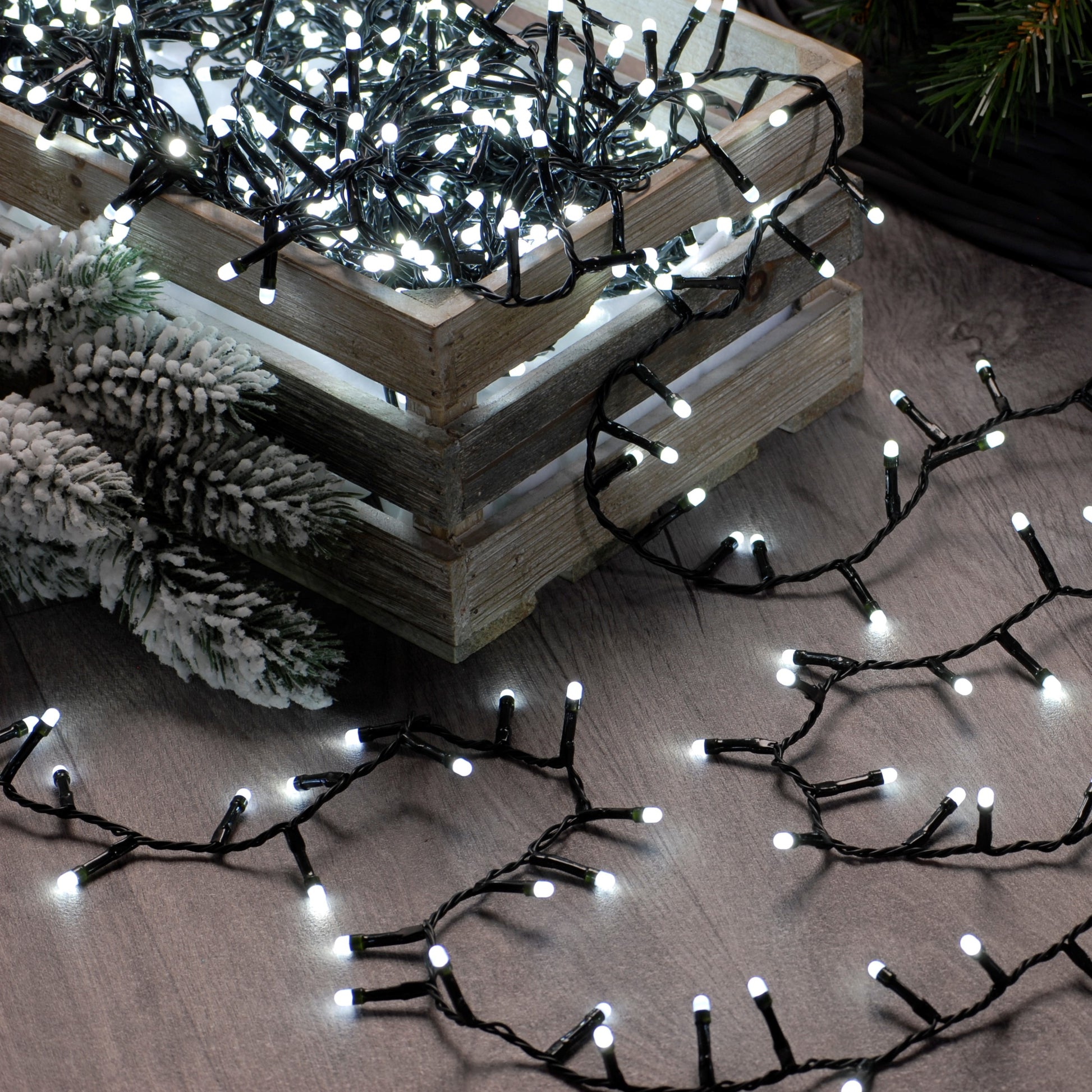 A close-up of a box of Christmas glow worm lights with several strands spilling out, featuring frosted bulbs and black wiring.