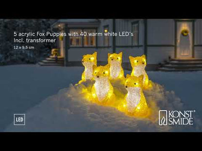 Konstsmide 5 Piece Acrylic Foxes LED Light Set